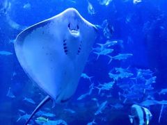 -多彩贵州城极地海洋世界