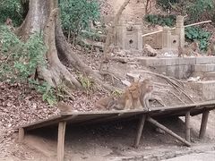 -黔灵山公园