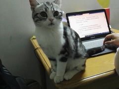 -安安宠医·安宠宠物医院