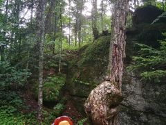 -汤旺河林海奇石景区
