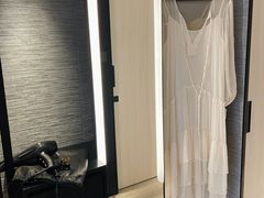 -新加坡乌节希尔顿酒店 (SG Clean)