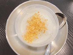 经典原味椰子冻-糖匠(垂虹路店)