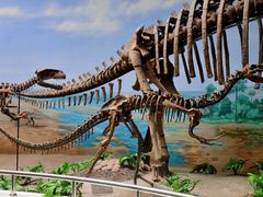 -延庆地质公园博物馆