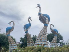 -密云玫瑰情园