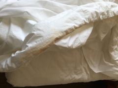 金陵饭店-南京金陵饭店