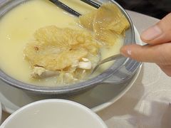 鸡煲特大鲍翅-凤城礼记鱼翅海鲜酒家(新马路总店)