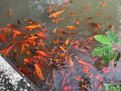 -灵栖洞天