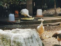 -黔灵山公园