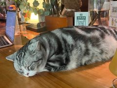 -咖法森林·咖啡  酒吧(天河店)