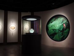 -四川宋瓷博物馆