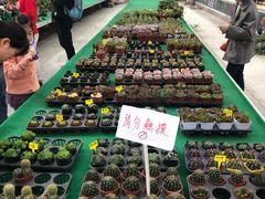 -西部兰花园生态园