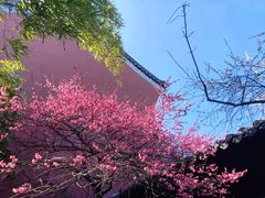 -钱王祠