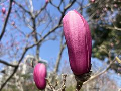 -白塘生态植物园