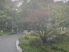 -东航云逸酒店(九溪烟树店)