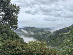 -莫干山风景区