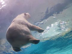 -珠海长隆海洋王国