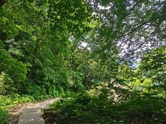 -终南山南五台景区