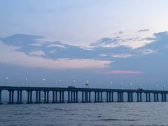 -宝安西湾红树林湿地公园