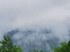 -凤凰山国家森林公园