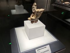 -四川大学博物馆