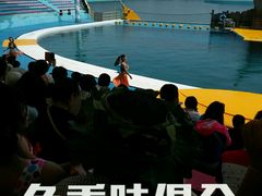 -秦皇岛乐岛海洋王国
