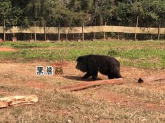 -海南热带野生动植物园