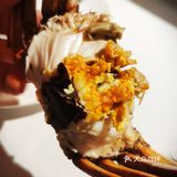 大闸蟹的诱惑!