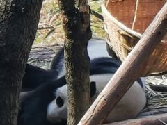 -黔灵山公园