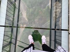 -梦幻奥陶纪景区