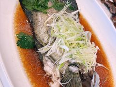 老鼠斑-王子饭店(圆方店)