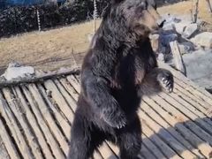 -济南野生动物世界