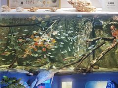-重庆欢乐海底世界