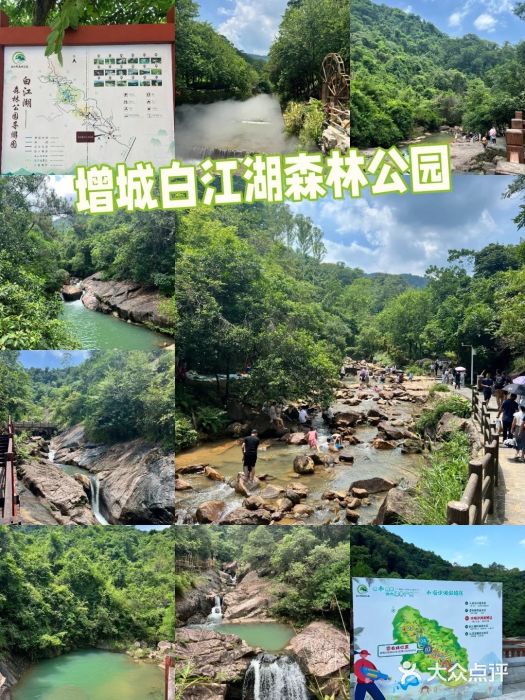 广州白江湖森林公园图片