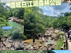 -广州白江湖森林公园