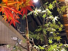 -故里湘(嘉里城店)