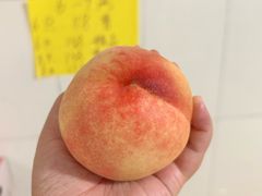 -老袁家蜜桃农场·阳山水蜜桃