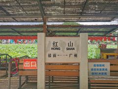 -红山村