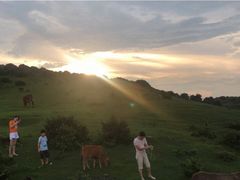 -大姆山草场