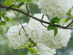 -大龙山(地铁站)