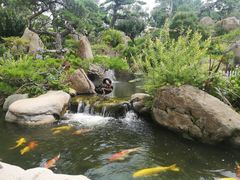 -罗红摄影艺术馆