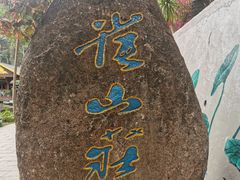 -西双版纳原始森林公园