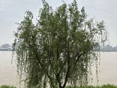 -武昌江滩