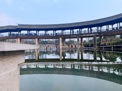 -眉山湿地公园(东坡区)