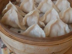新兴园招牌风味蒸饺-新兴园饺子馆(河南街店)