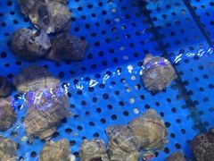 -前王院•巧克力海鲜市集餐厅(万平口店)