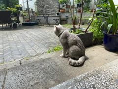 -她说户外烧烤团建(西湖店)