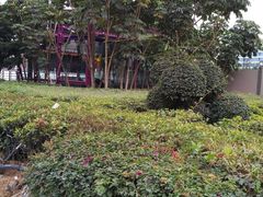 -番禺广场(市桥街道)