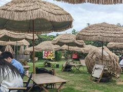 -桃源山庄·水蜜桃采摘·柴火鸡·烧烤团建(龙泉山店)