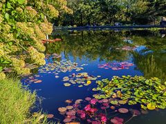 -国家植物园南园