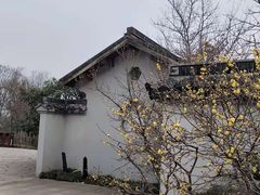 -无锡梅园公园